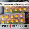 Black Ant Capsules new10
